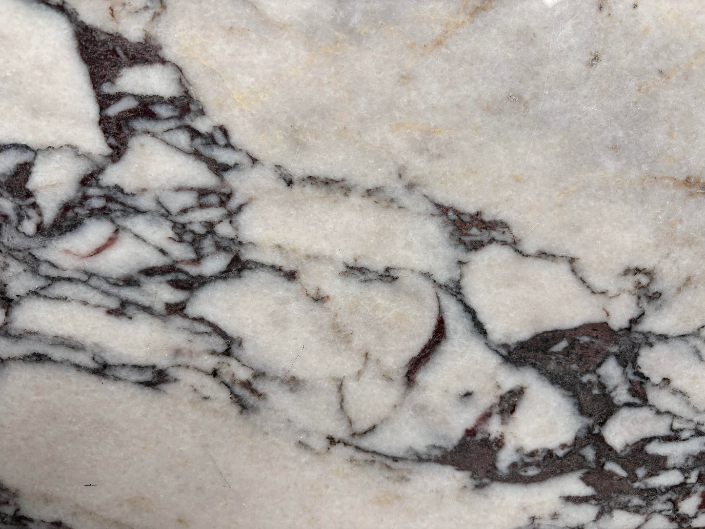 Calacatta Viola Marble